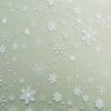 snowflake_acetate.jpg